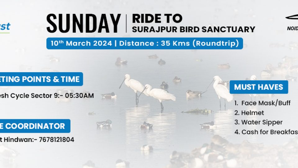 10-march960x412-Website-Surajpur-Bird-Sanctuary-Ride